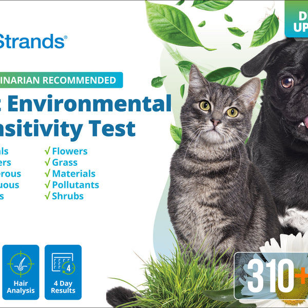 Pet Environmental Sensitivity Test (Digital)