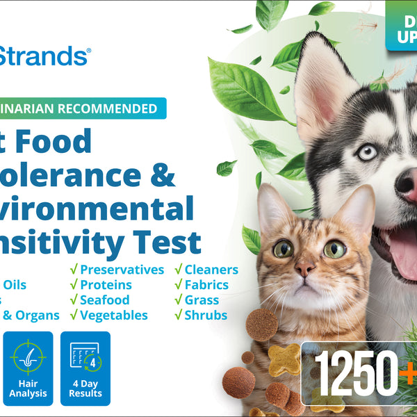 Pet Food Intolerance & Environmental Sensitivity Test (Digital)