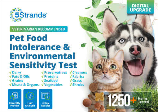 Pet Food Intolerance & Environmental Sensitivity Test (Digital)