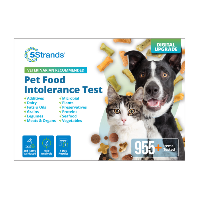Pet Food Intolerance Test (Digital)