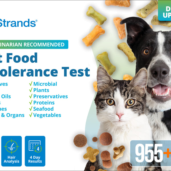 Pet Food Intolerance Test (Digital)