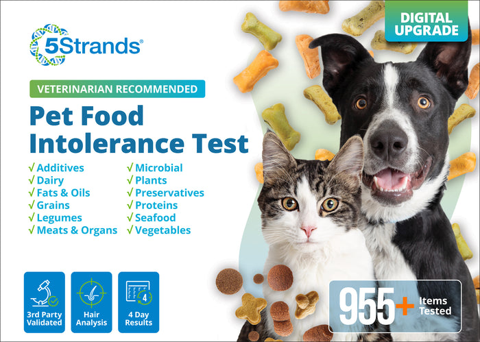 Pet Food Intolerance Test (Digital)