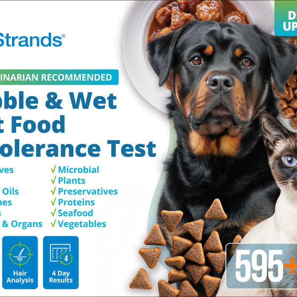 Kibble & Wet Pet Food Intolerance Test (Digital)