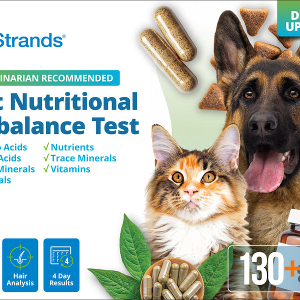 Pet Nutritional Imbalance Test (Digital)