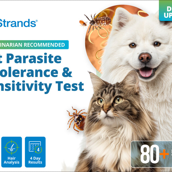 Pet Parasite Intolerance & Sensitivity Test (Digital)