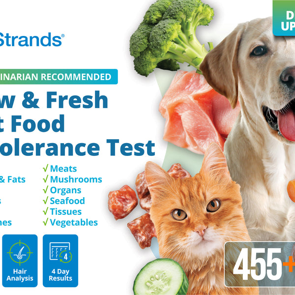 Raw & Fresh Pet Food Intolerance Test (Digital)