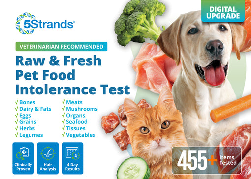Raw & Fresh Pet Food Intolerance Test (Digital)