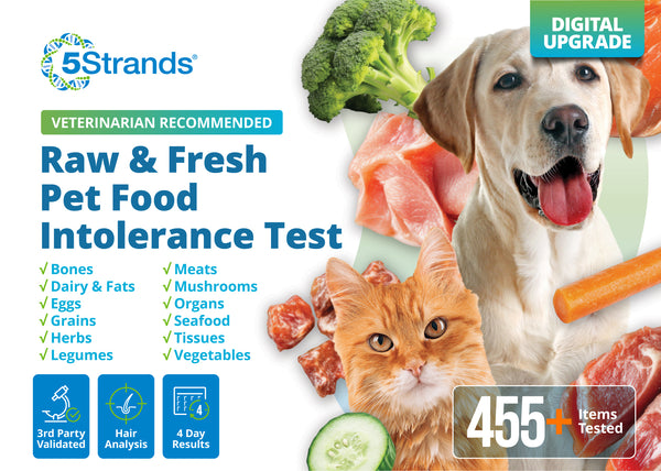 Raw & Fresh Pet Food Intolerance Test (Digital)