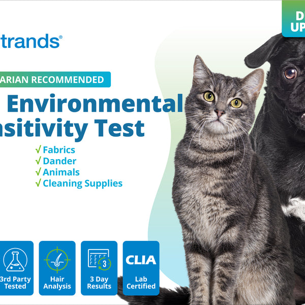 Pet Environmental Intolerance Test (Digital)