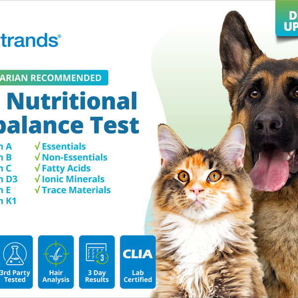 Pet Nutritional Imbalance Test (Digital)