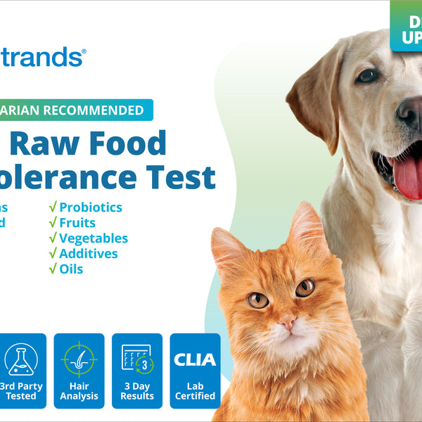 Pet Raw Food Intolerance Test (Digital)