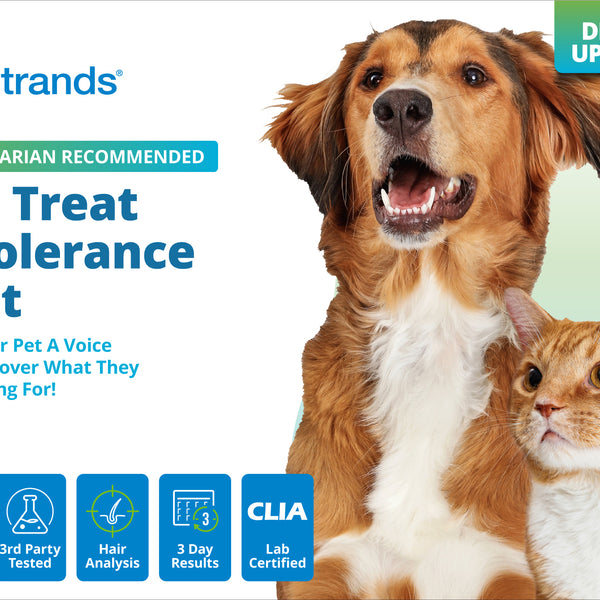Pet Treat Intolerance Test (Digital)