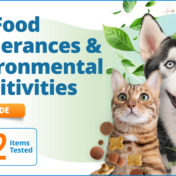 Pet Food Intolerances & Environmental Sensitivities, 1272 Items (Upgrade)
