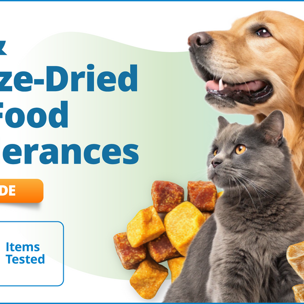 Air & Freeze-Dried Pet Food Intolerances, 361 Items (Upgrade)