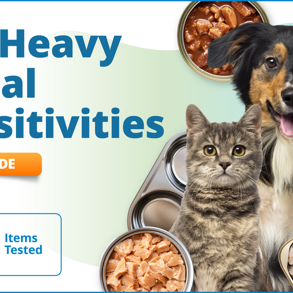 Pet Heavy Metal Sensitivities, 101 Items (Upgrade)