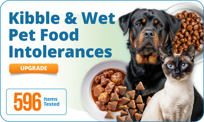 Kibble & Wet Pet Food Intolerances, 596 Items (Upgrade)