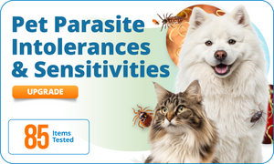 Pet Parasite Intolerances & Sensitivities, 85 Items (Upgrade)