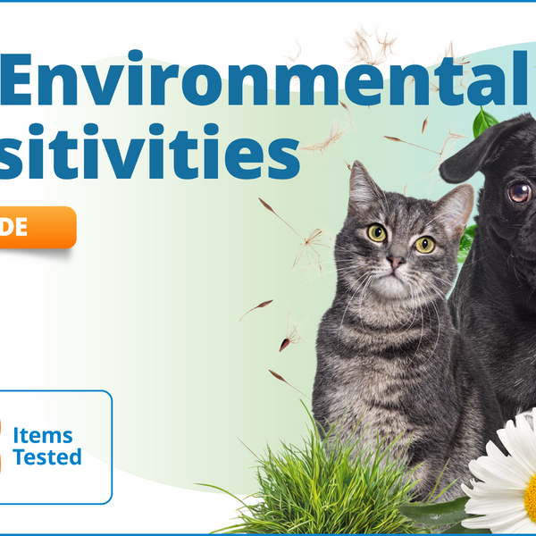 Pet Environmental Sensitivities, 283 Items (Upgrade)