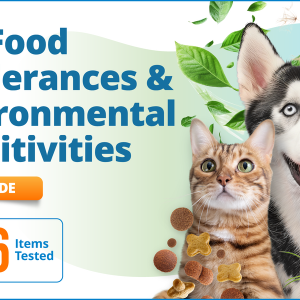 Pet Food Intolerances & Environmental Sensitivities, 1116 Items (Upgrade)