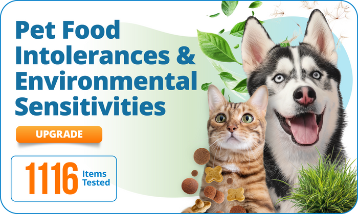 Pet Food Intolerances & Environmental Sensitivities, 1116 Items (Upgrade)