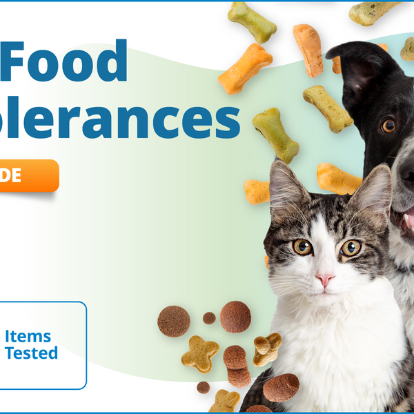Pet Food Intolerances, 833 Items (Upgrade)