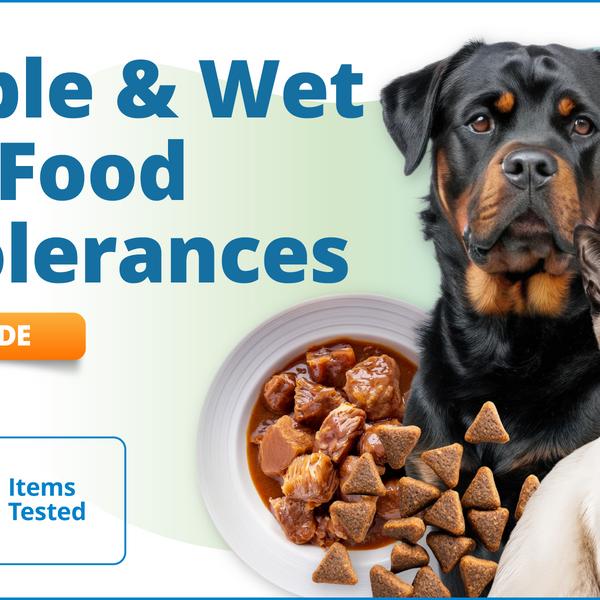 Kibble & Wet Pet Food Intolerances, 503 Items (Upgrade)
