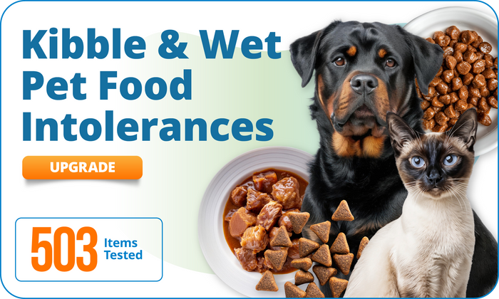 Kibble & Wet Pet Food Intolerances, 503 Items (Upgrade)
