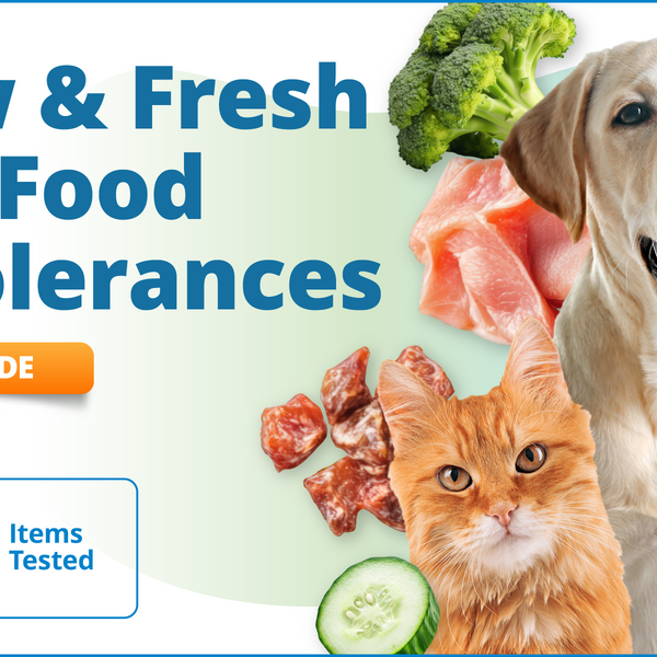Raw & Fresh Pet Food Intolerances, 448 Items (Upgrade)
