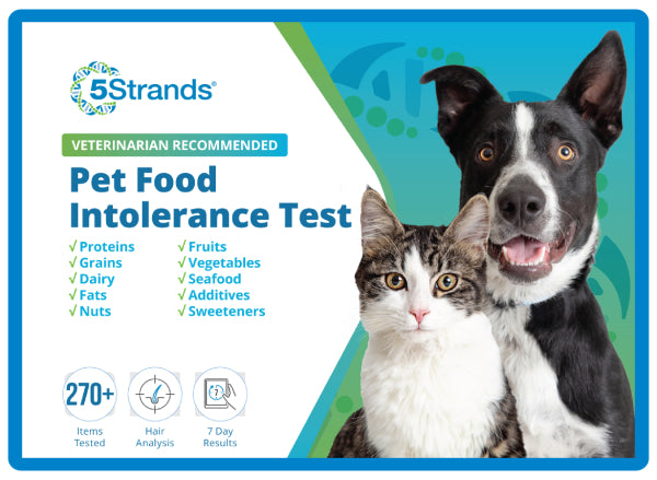 Pet Food Intolerance Test (Previous Hair Sample Required)