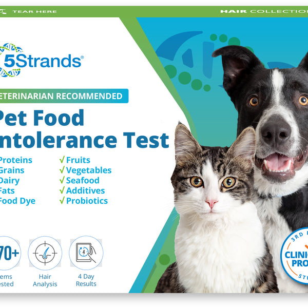 Pet Food Intolerance Test