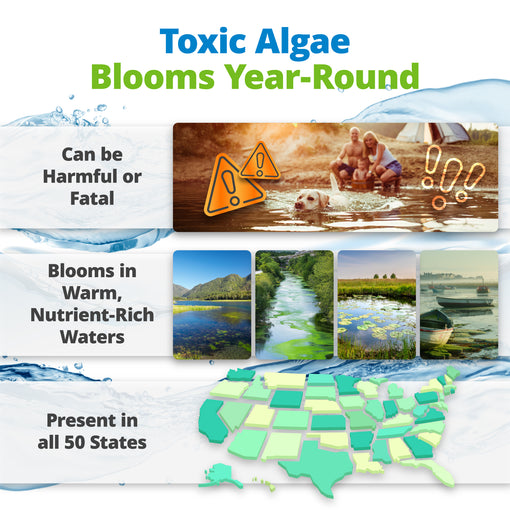 BlueGreen Algae Water Test