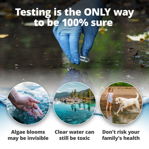 BlueGreen Algae Water Test