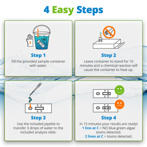BlueGreen Algae Water Test