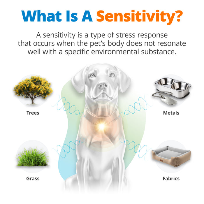 Pet Environmental Sensitivity Test