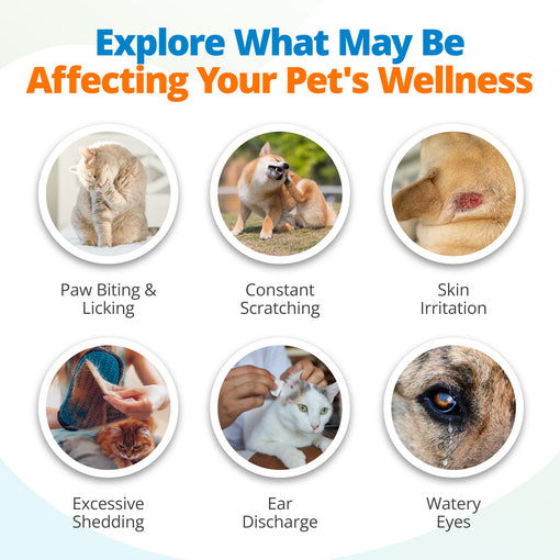 Pet Environmental Sensitivity Test