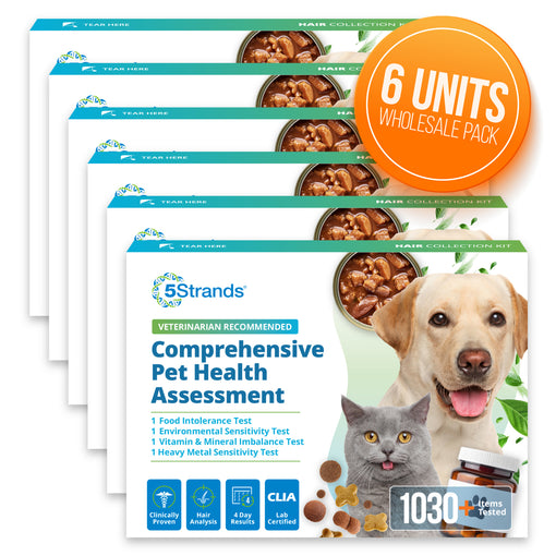 Pet Comprehensive Health & Wellness Assessment (Wholesale, 6 Pack)