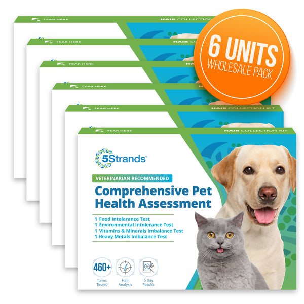 Pet Intolerances & Imbalances Test, 6 Pack, Wholesale