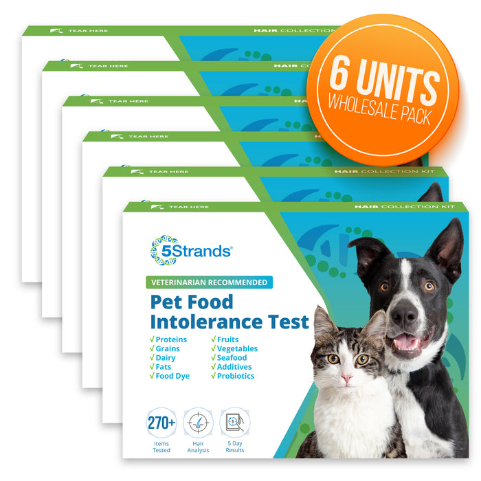 Pet Food Intolerance Test, 6 Pack, Wholesale