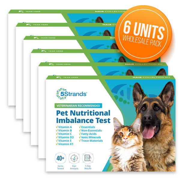 Pet Vitamins & Minerals Test, 6 Pack, Wholesale