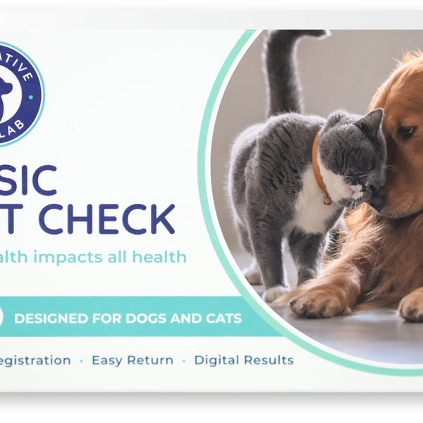 innovative pet lab basic gut check