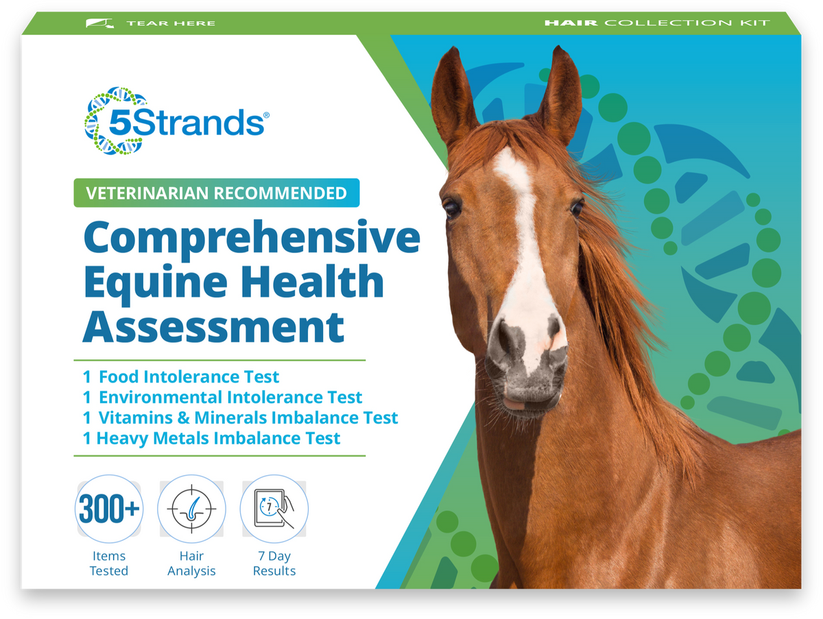 Equine Health Test