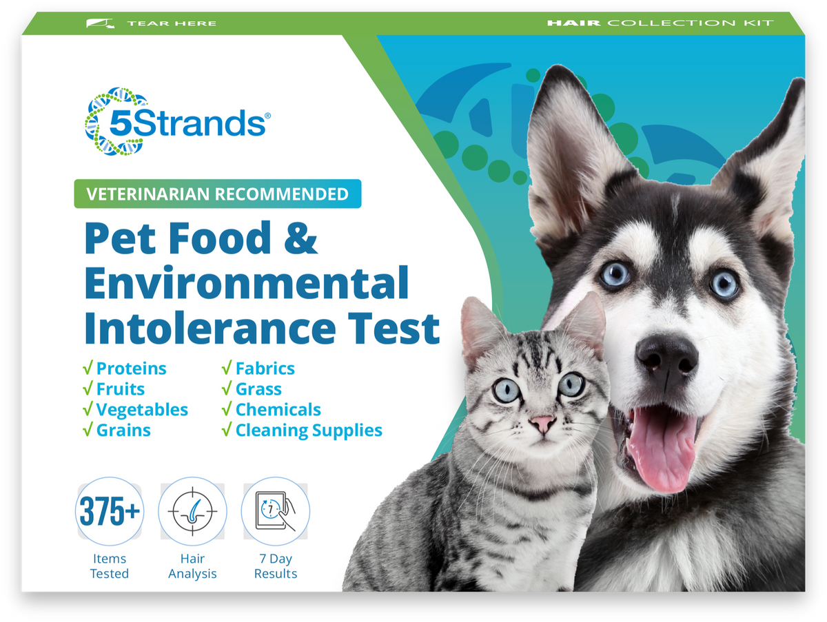Pet Food & Environmental Intolerance Test (Dogs & Cats) 5Strands