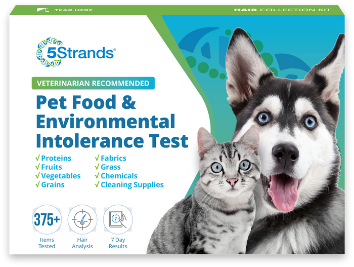 Canine food allergy testing clearance