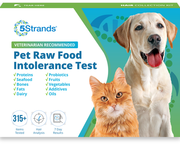 Pet Raw Food Intolerance Test