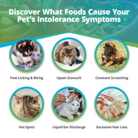 Pet Food Intolerance Test