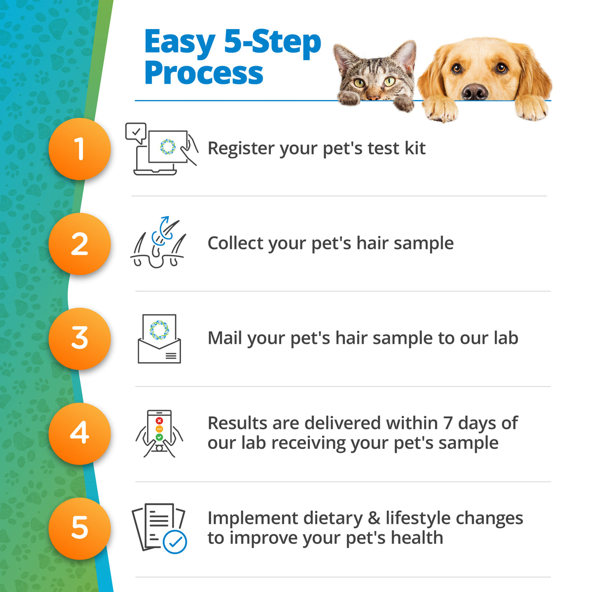 Pet Food Intolerance Test For All Breeds & Ages 5Strands