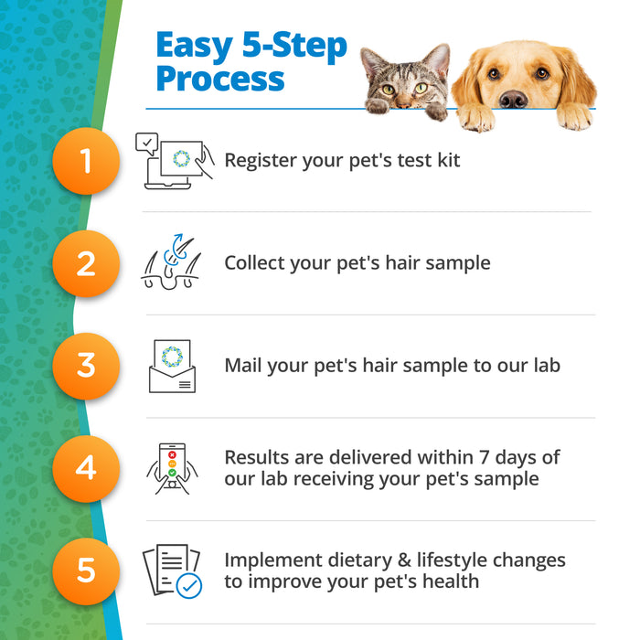 Pet Food Intolerance Test