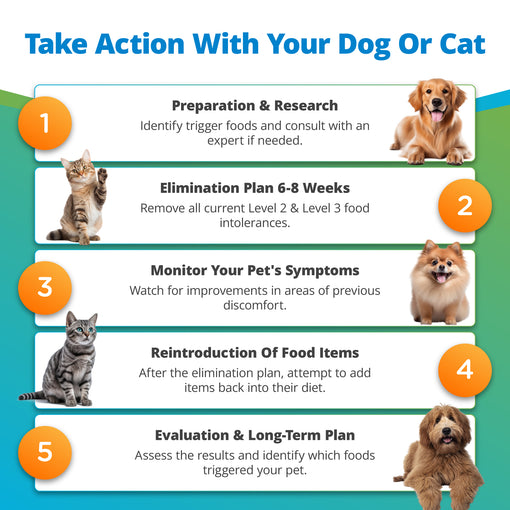 Pet Food Intolerance Test