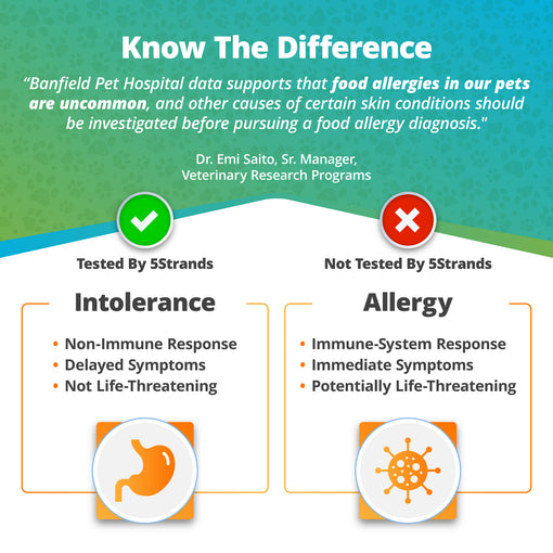 Pet Food Intolerance Test