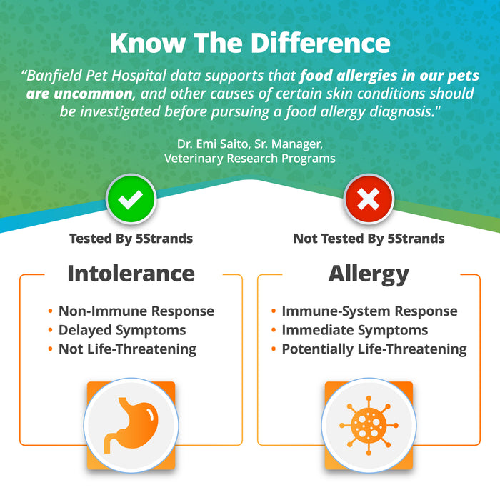 Pet Food Intolerance Test